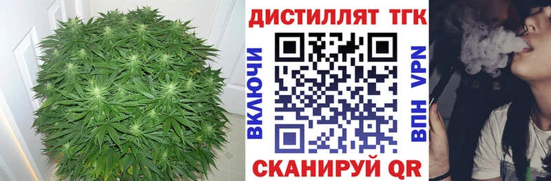 наркотики  Электрогорск  дарк нет клад  ТГК вейп 