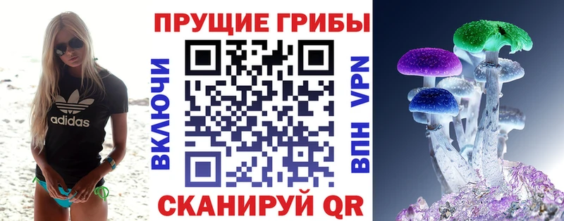 даркнет сайт  мега сайт  Псилоцибиновые грибы MAGIC MUSHROOMS  Электрогорск 